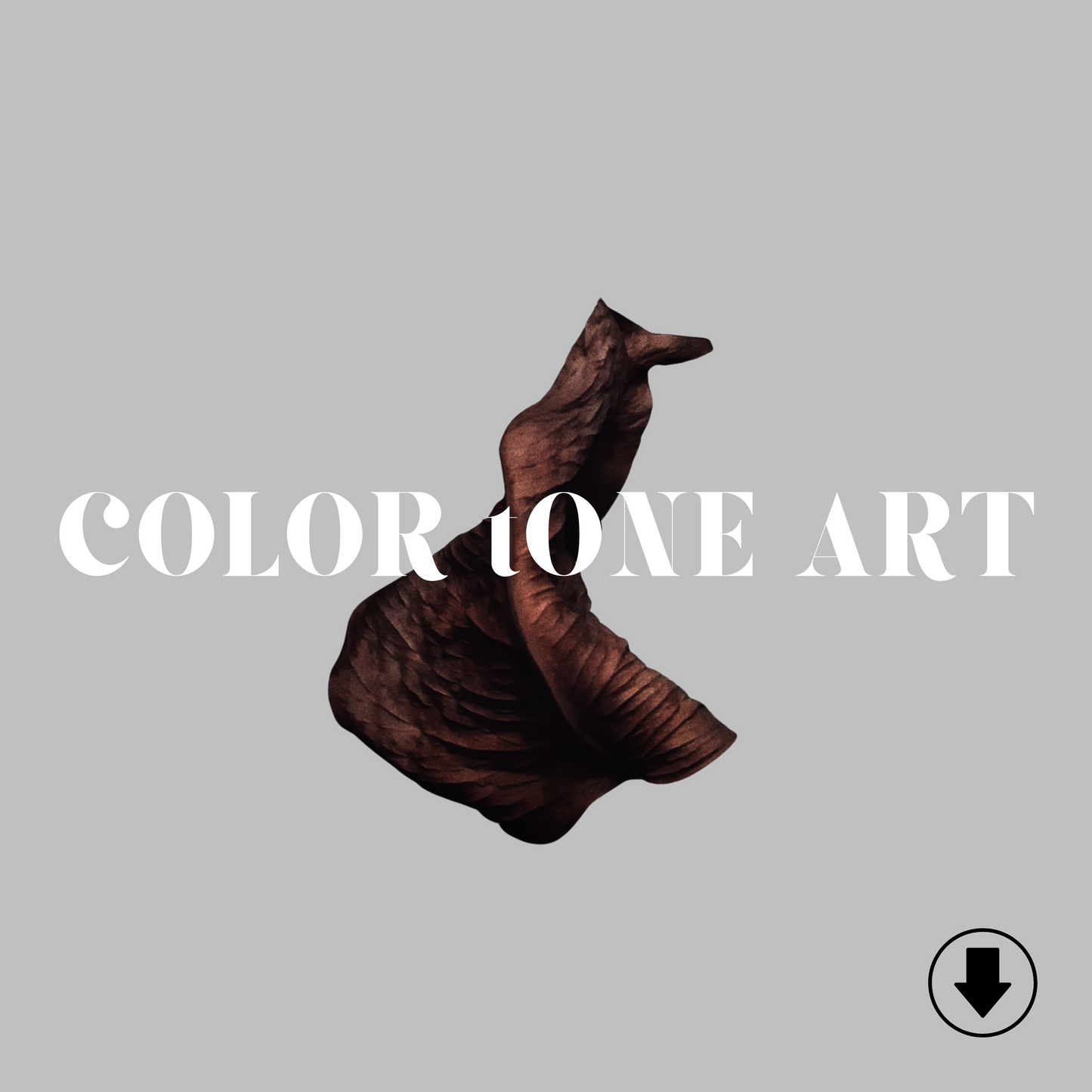 COLOR tONE ART